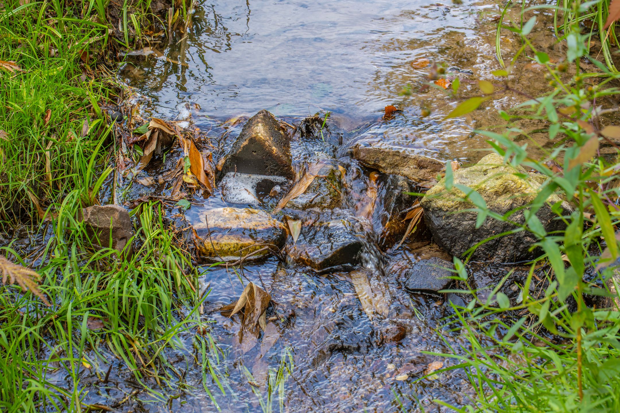 Foto 48 van Veerweg 2