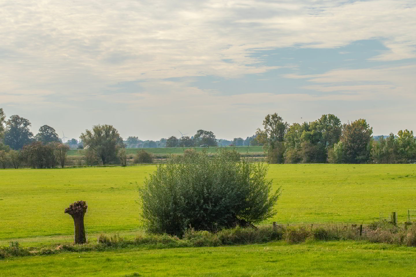 Foto 44 van Veerweg 2