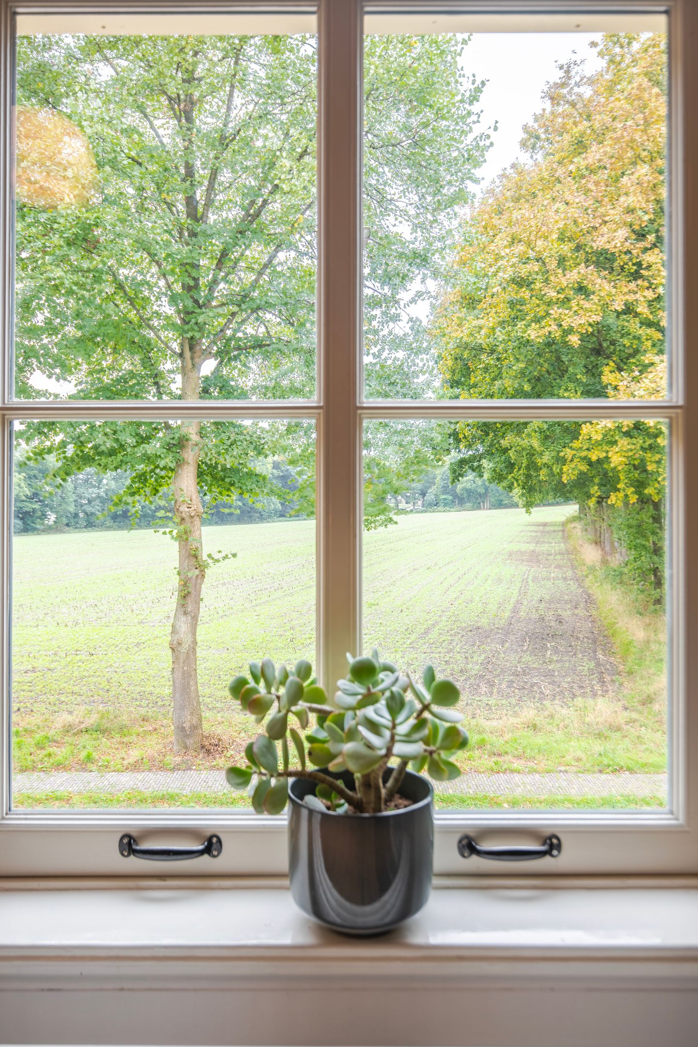 Foto 25 van Veerweg 2