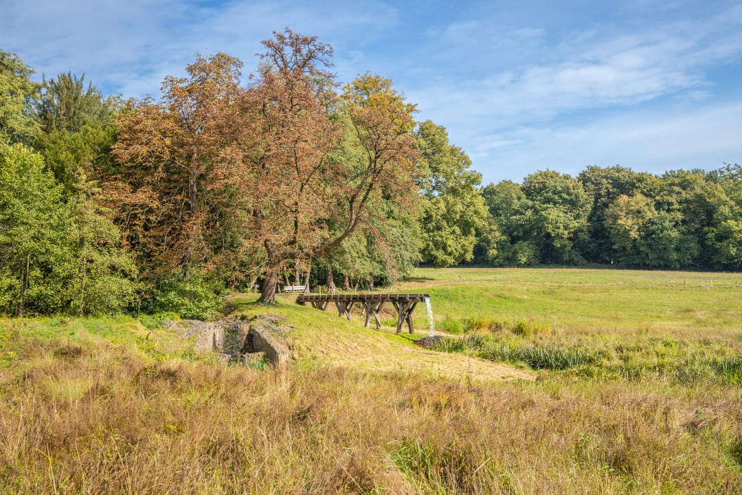 Foto 67 van Veerweg 2