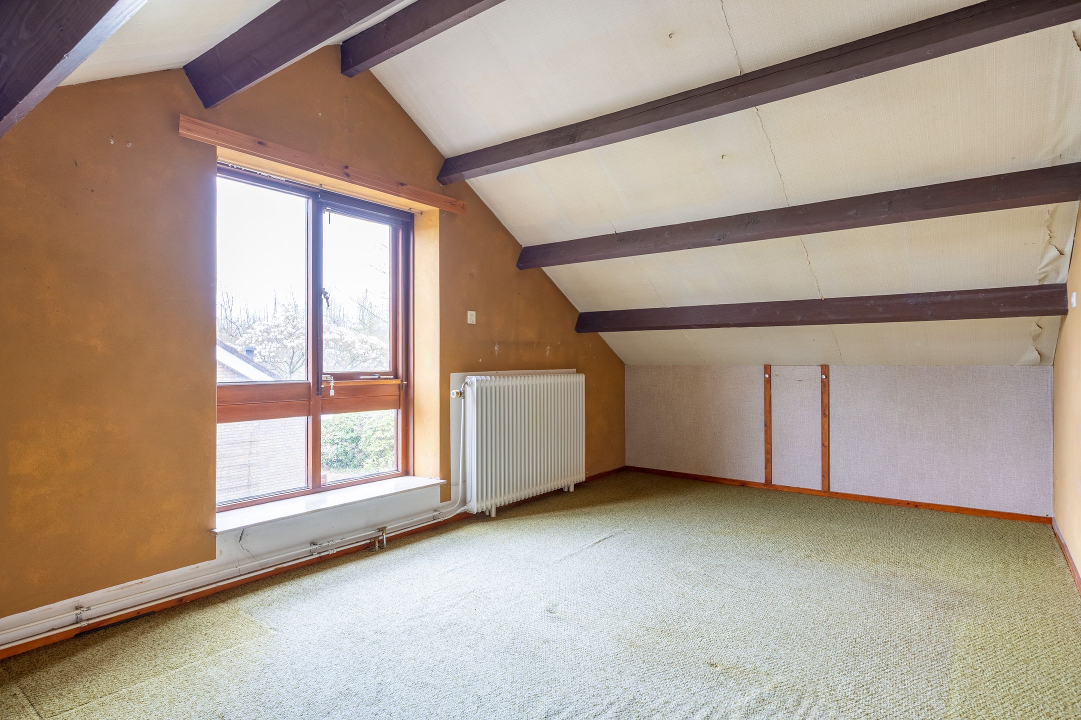 Foto 36 van Waldadrift 20