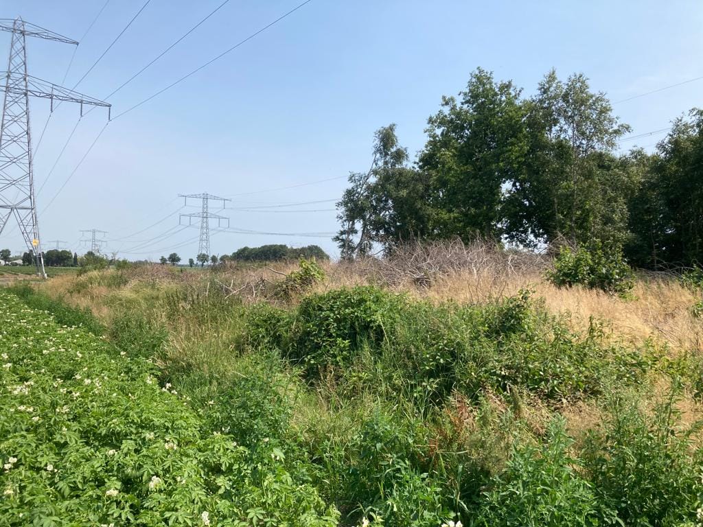 Zuiderveen - Winschoten - Afbeelding 6