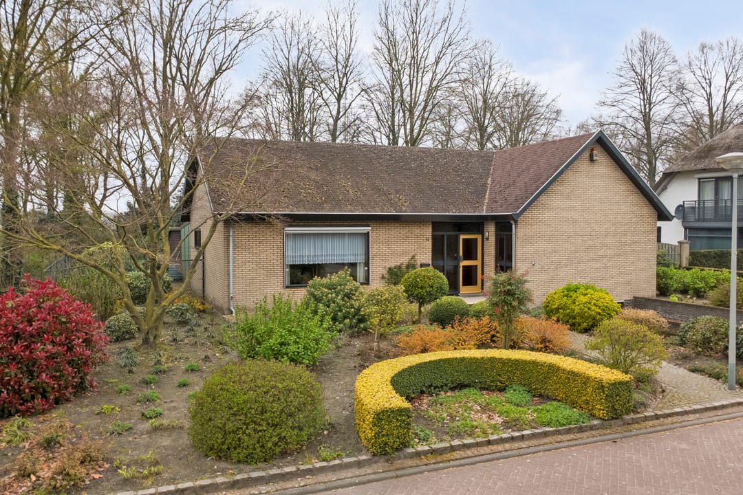 Foto 1 van Het Haze-Pad 14