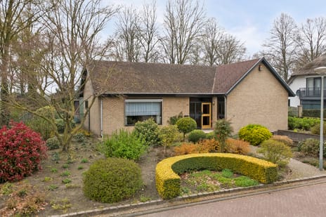 Het Haze-Pad thumbnail