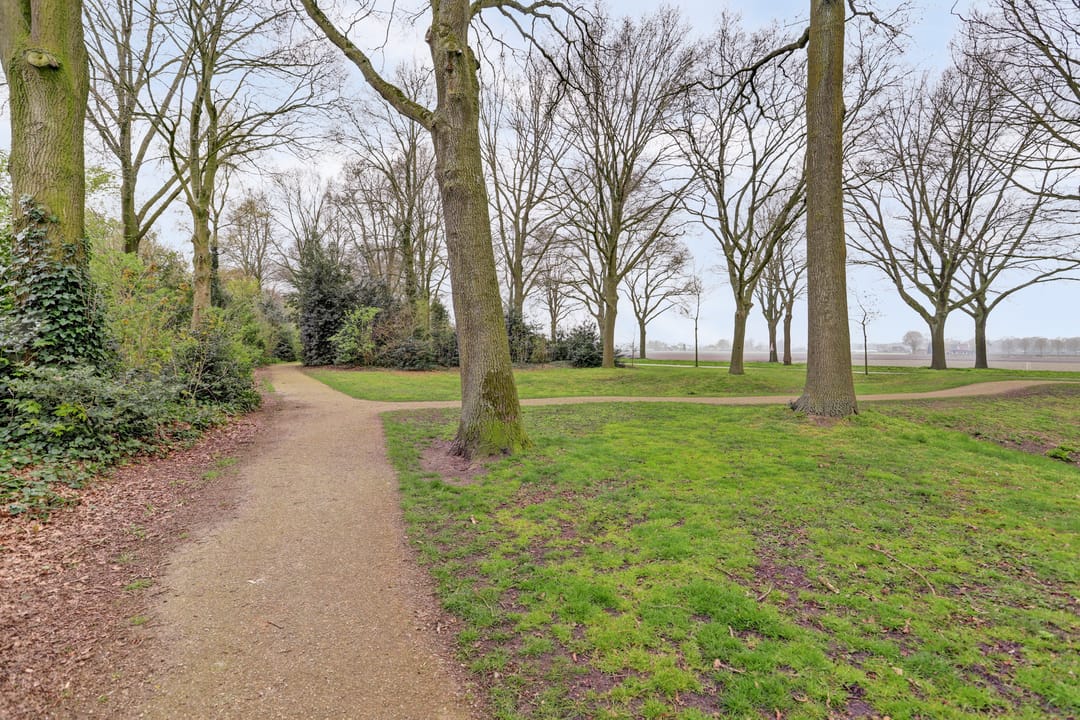 Foto 52 van Het Haze-Pad 14