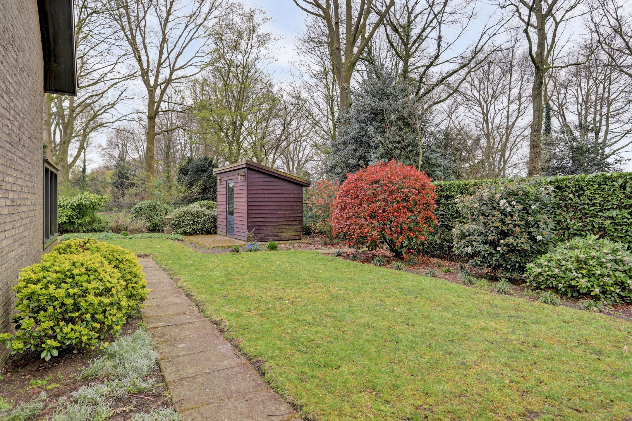 Foto 45 van Het Haze-Pad 14