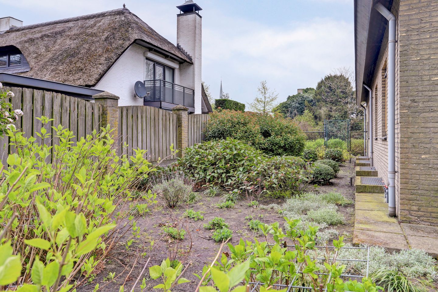 Foto 44 van Het Haze-Pad 14