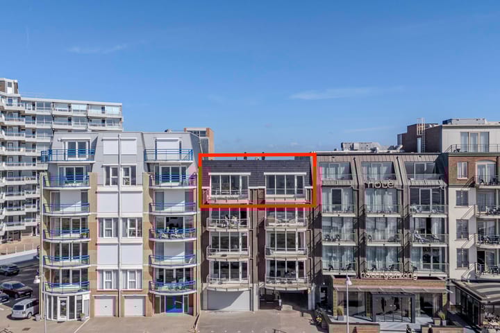 Boulevard 12 main image