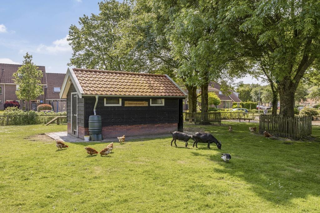 Foto 47 van Anssen 36