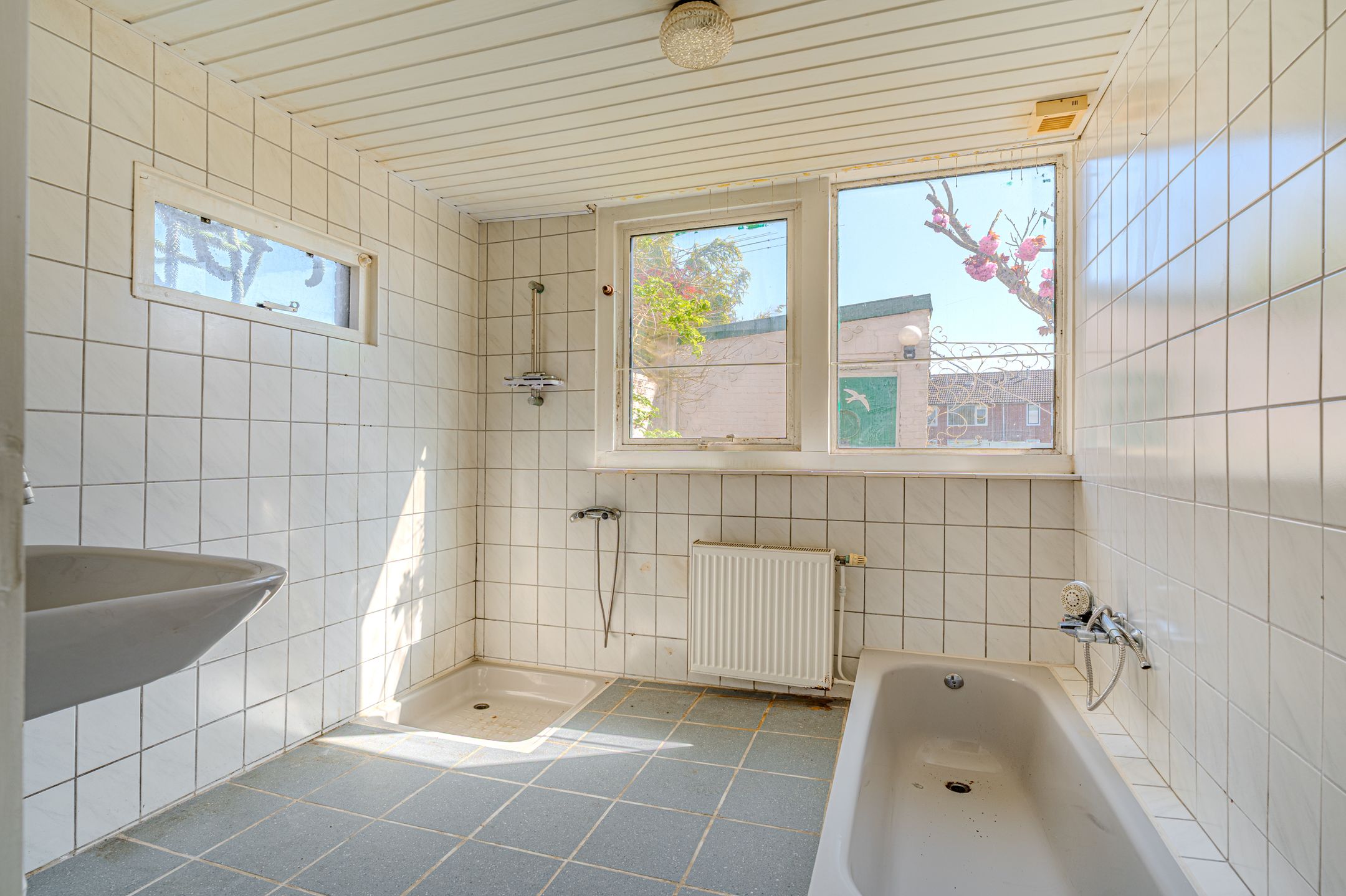 Foto 21 van Garst 40