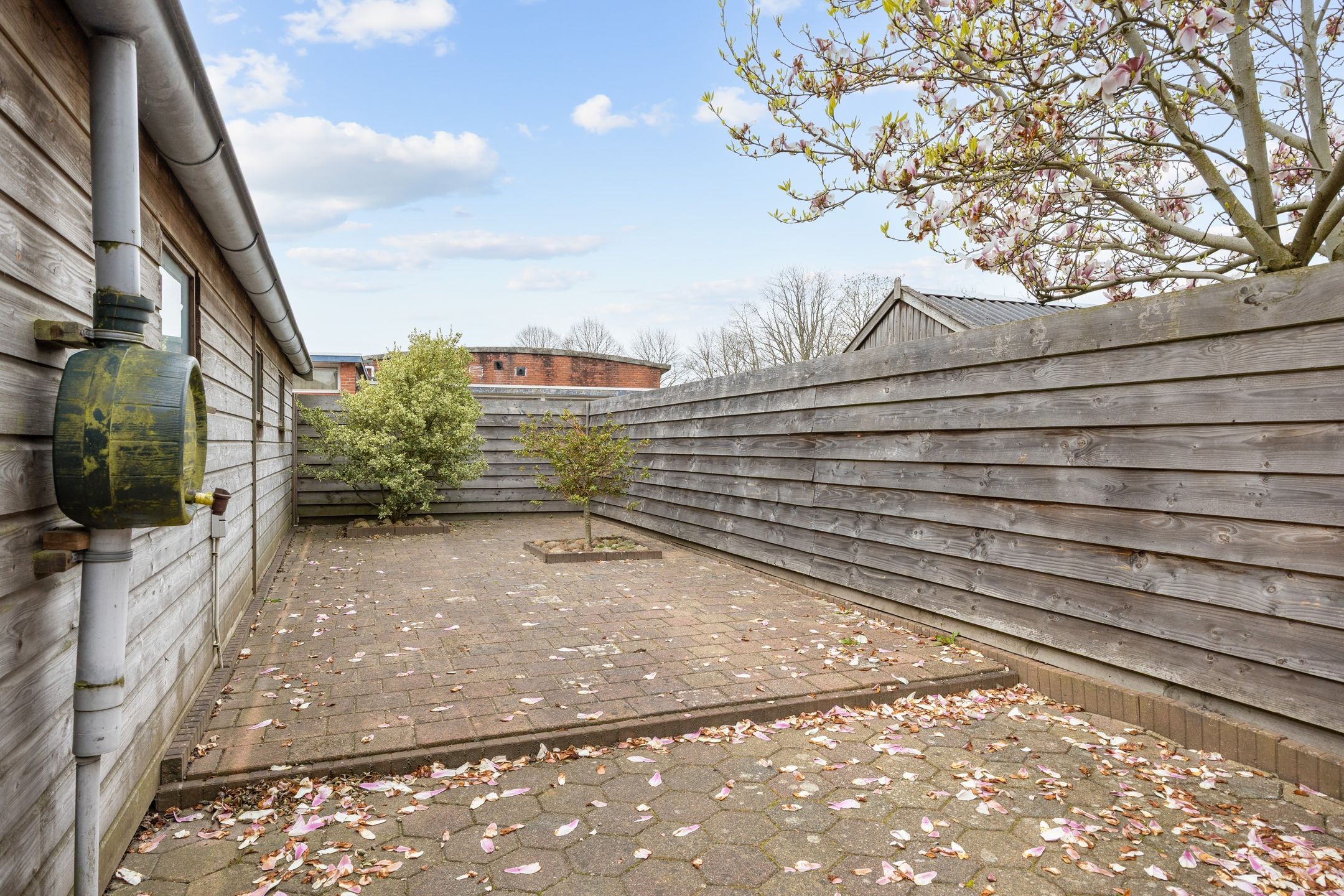 Foto 48 van Marcus Buschstraat 163