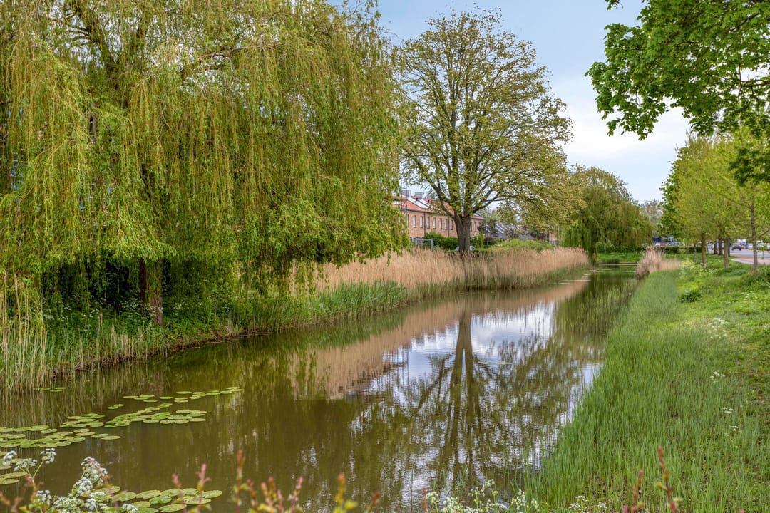 Foto 23 van Columbusstraat 23