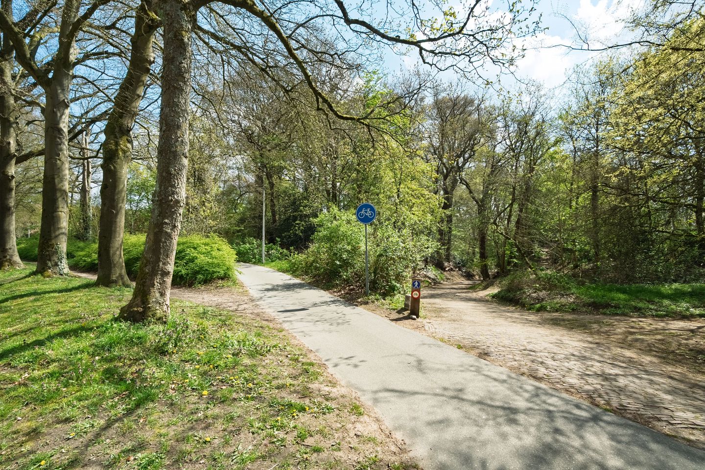 Foto 40 van Ericalaan 2