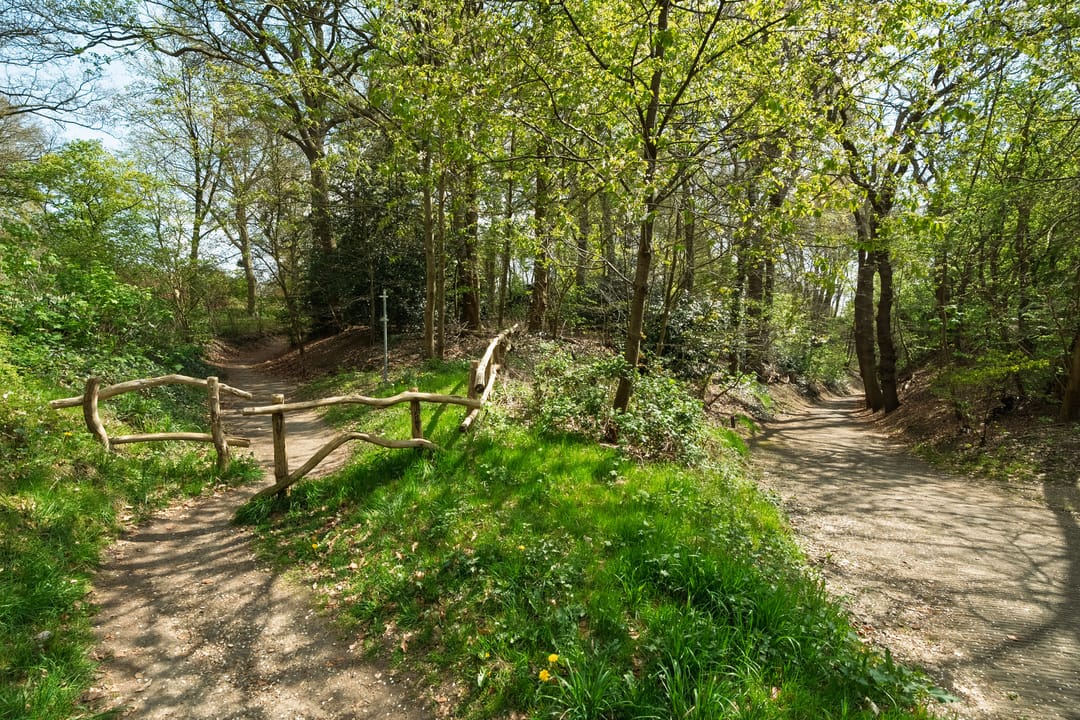 Foto 41 van Ericalaan 2