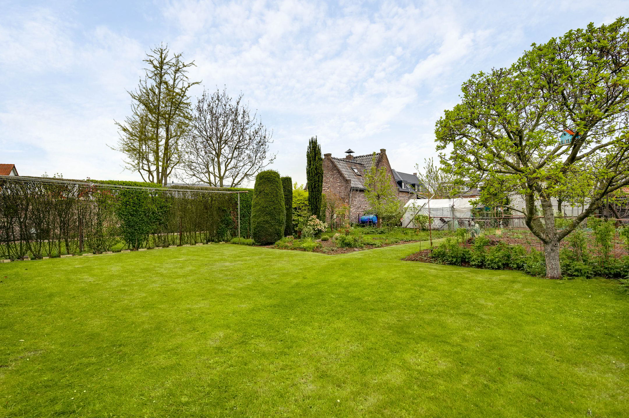 Foto 33 van Springbeekweg 10