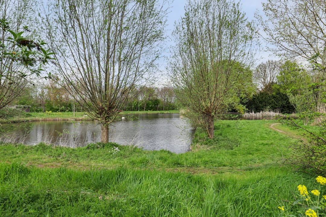 Foto 47 van Abdij 20