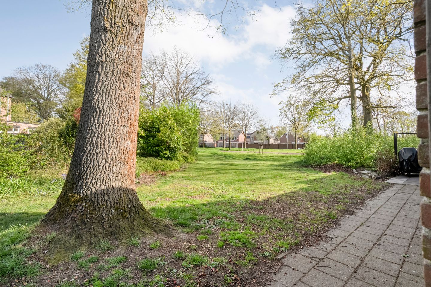 Photo 35 of Cornelis Dopperstraat 65