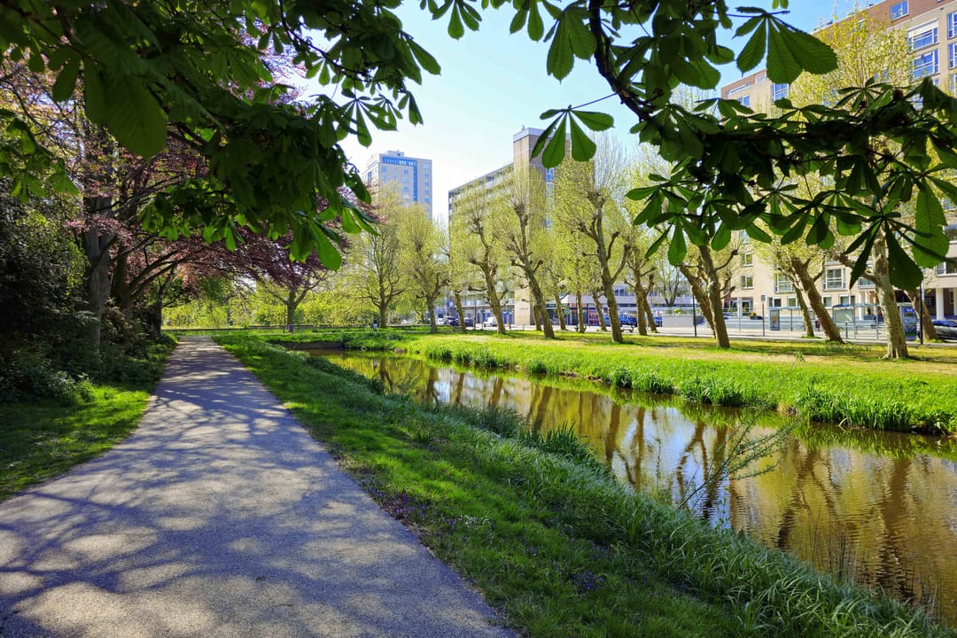 Foto 32 van Bucaillestraat 10