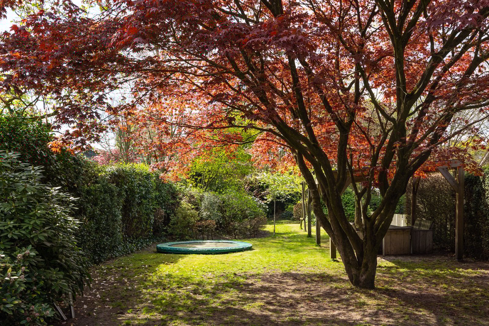 Photo 51 of Bosscheweg 59