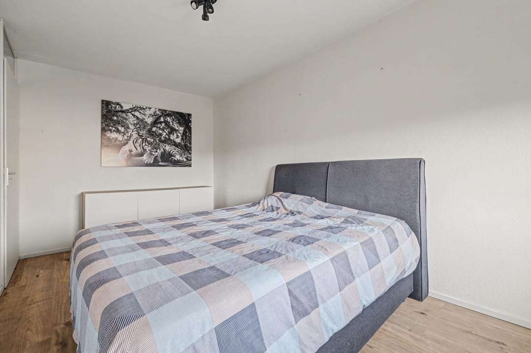 Foto 17 van Valeriaan 20