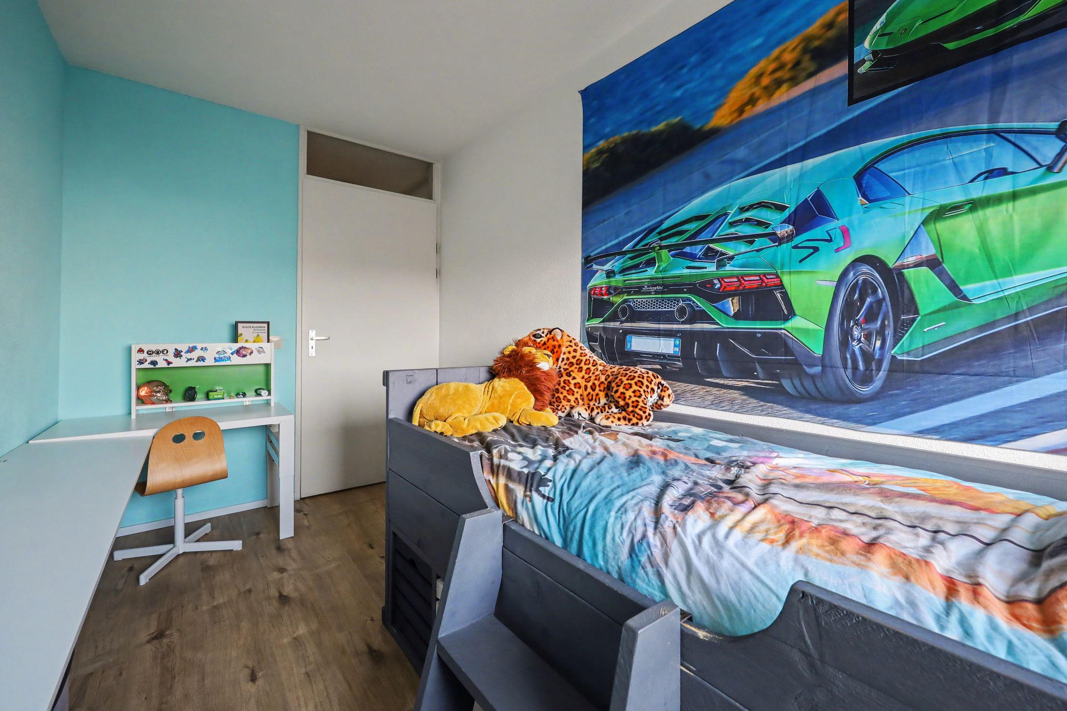 Foto 21 van Valeriaan 20