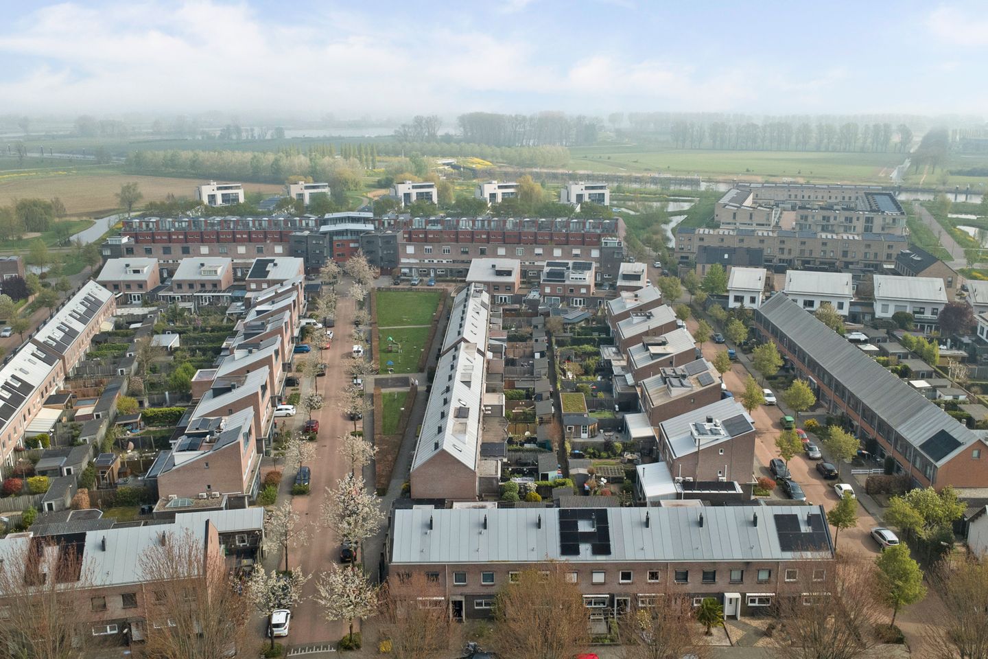 Foto 40 van Valeriaan 20