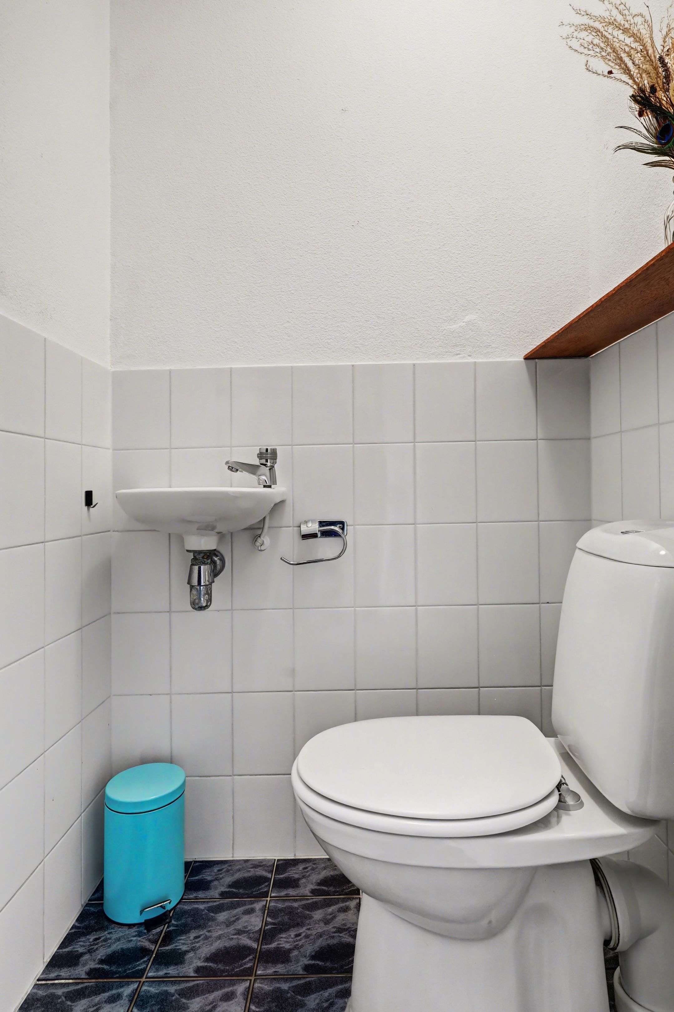 Foto 15 van Valeriaan 20