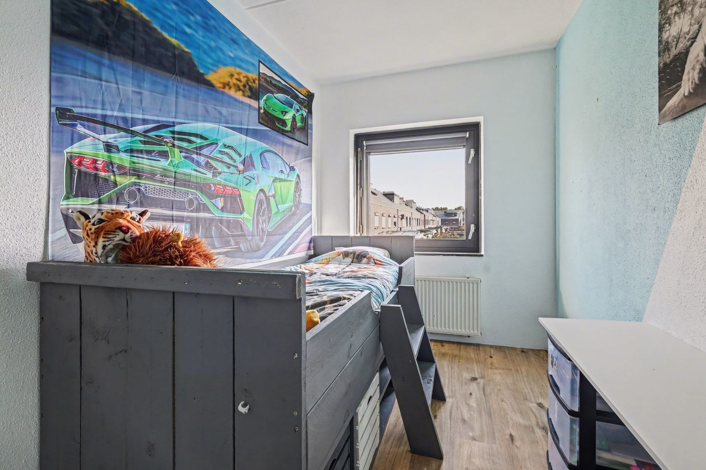 Foto 20 van Valeriaan 20