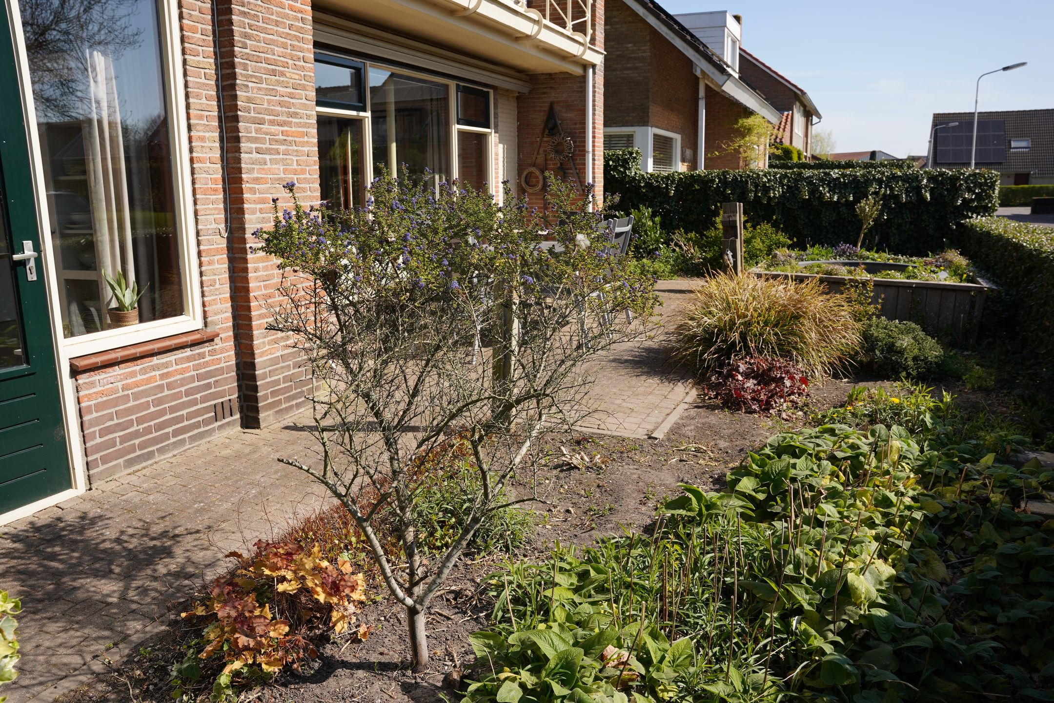 Foto 36 van Burgemeester H.A. Callenfelsstraat 37