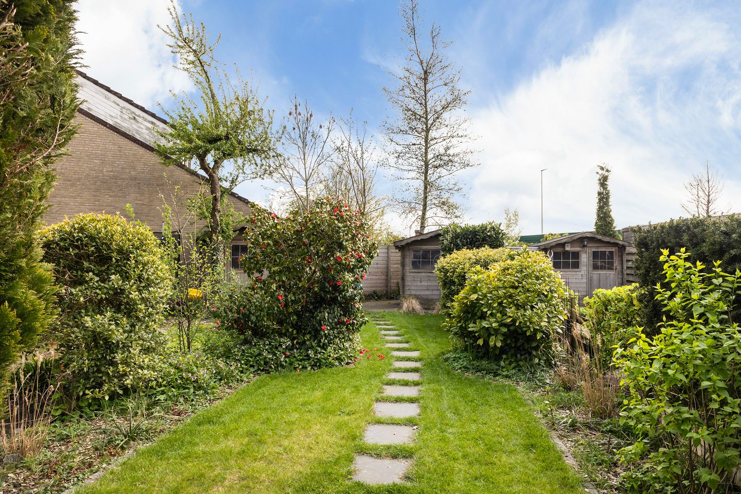 Foto 20 van Zenegroen 59