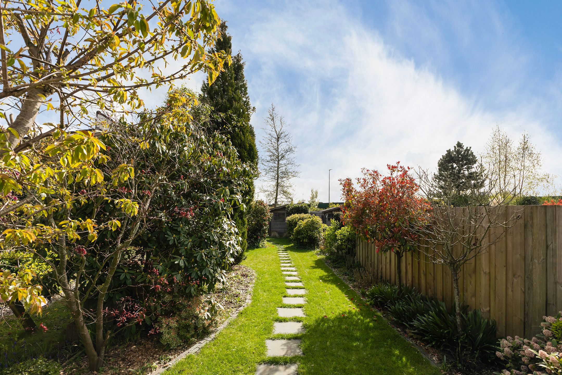 Foto 21 van Zenegroen 59