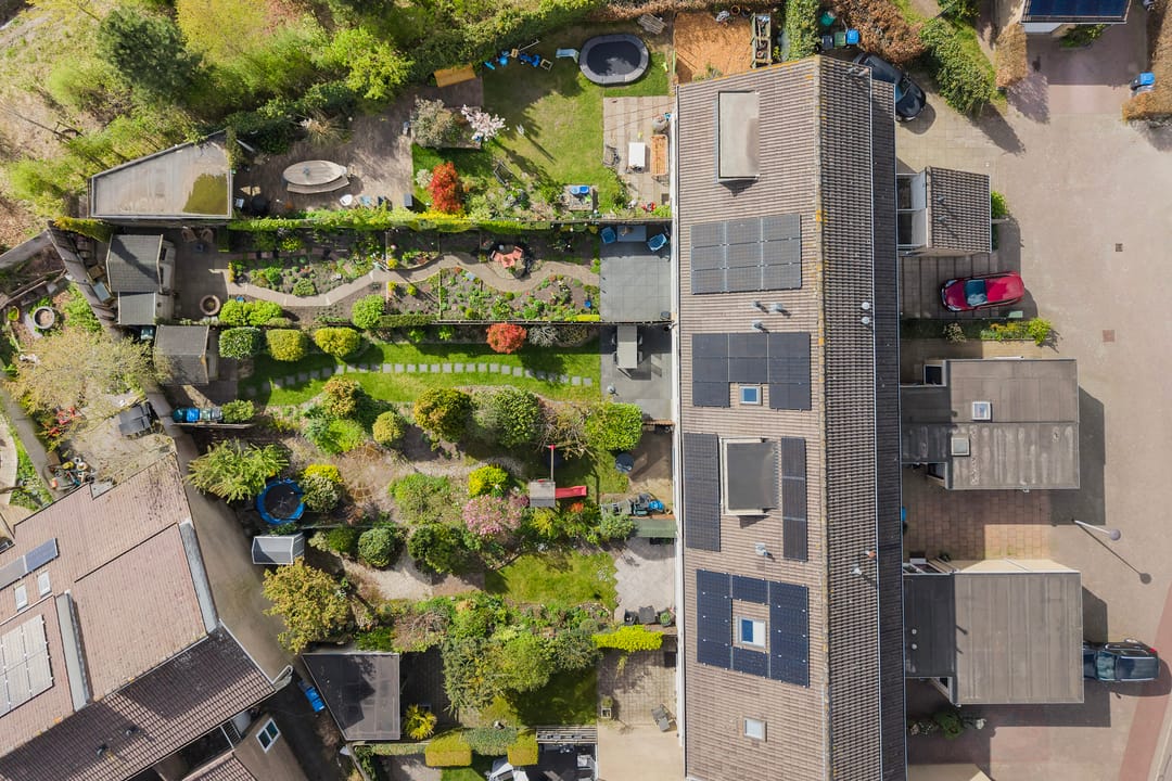 Foto 41 van Zenegroen 59