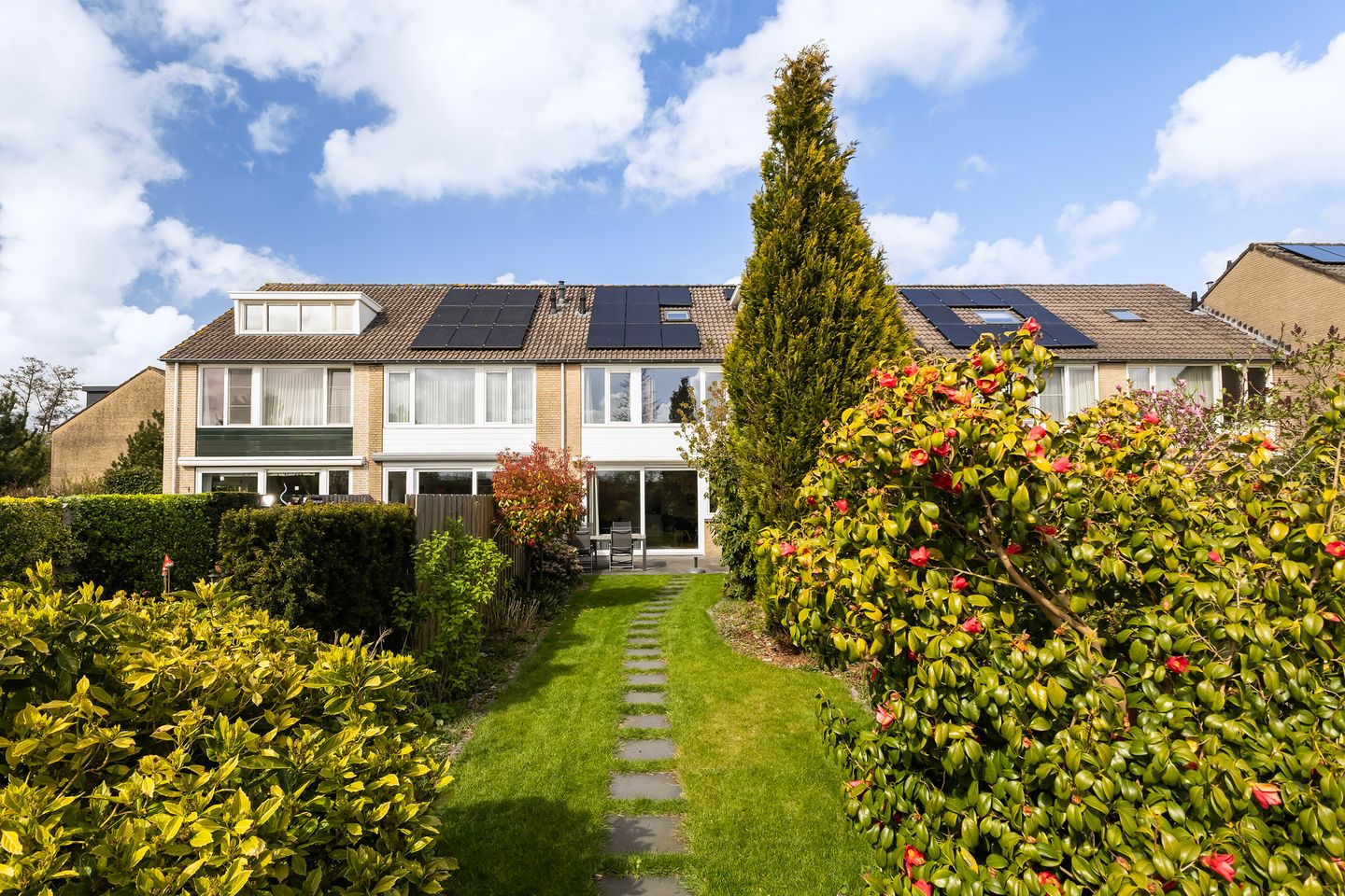 Foto 19 van Zenegroen 59