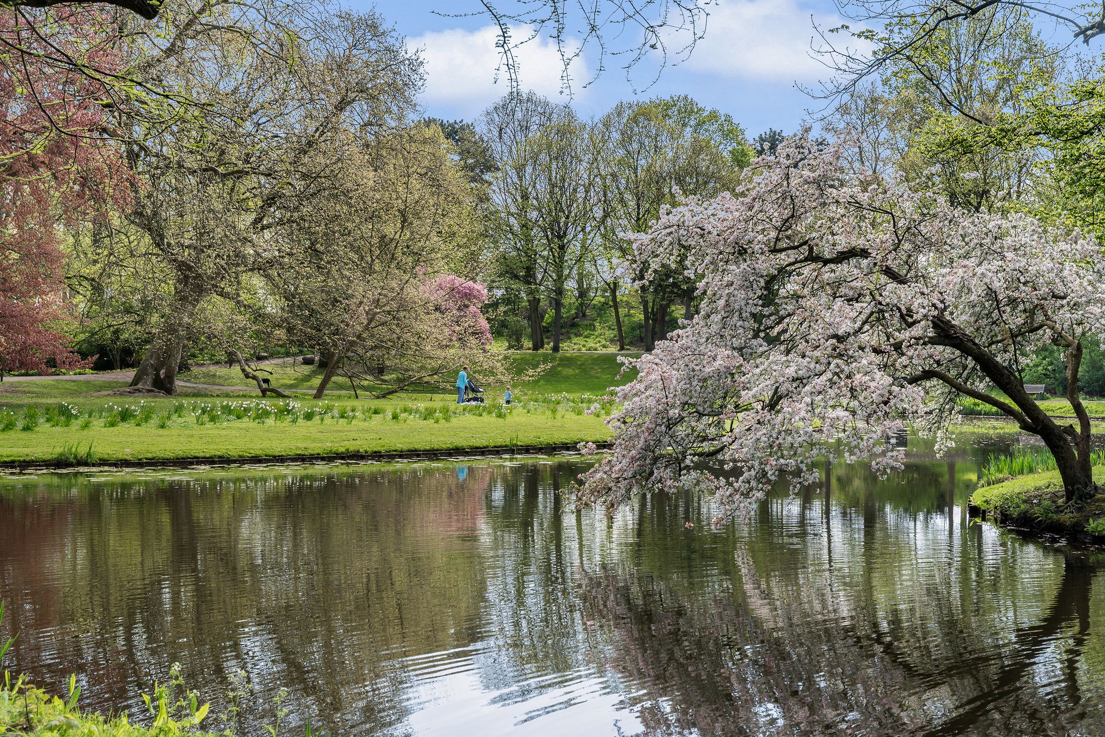 Foto 36 van Schiehavenkade 460