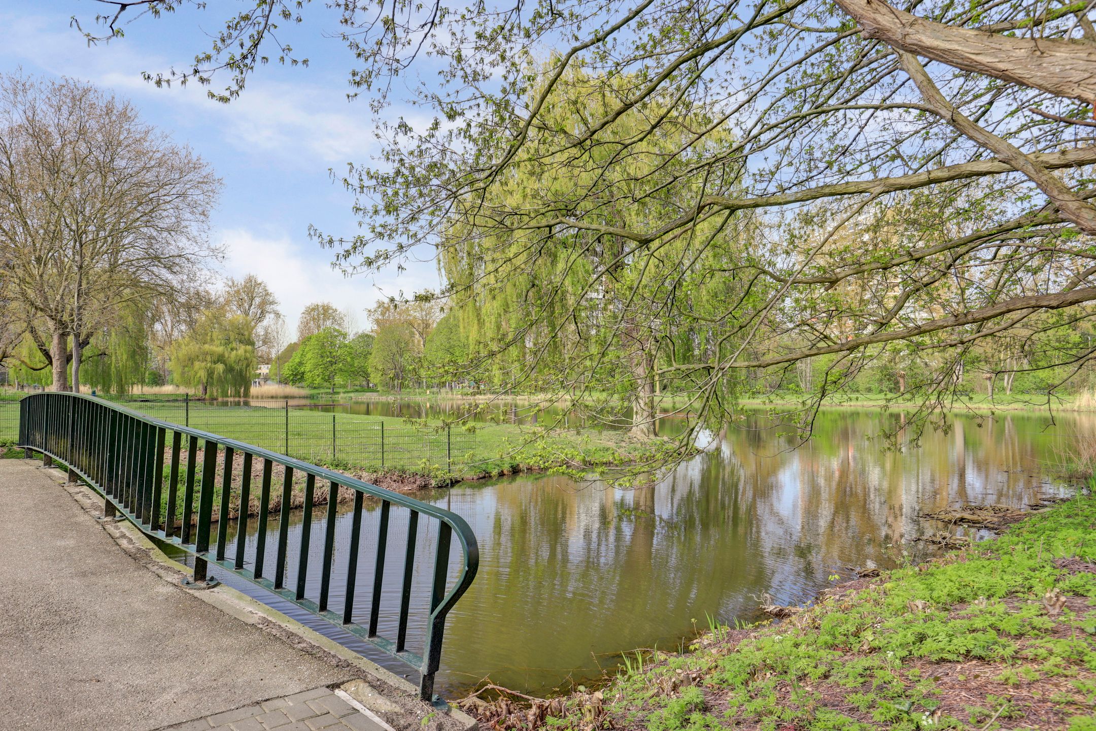 Foto 39 van Jhr. De Savornin Lohmanstraat 61