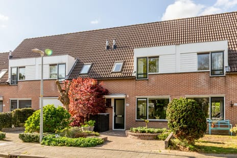 Lange Haeg thumbnail