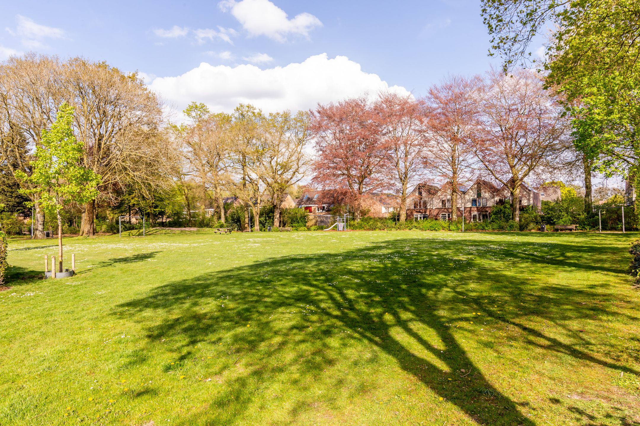 Foto 39 van Lange Haeg 123