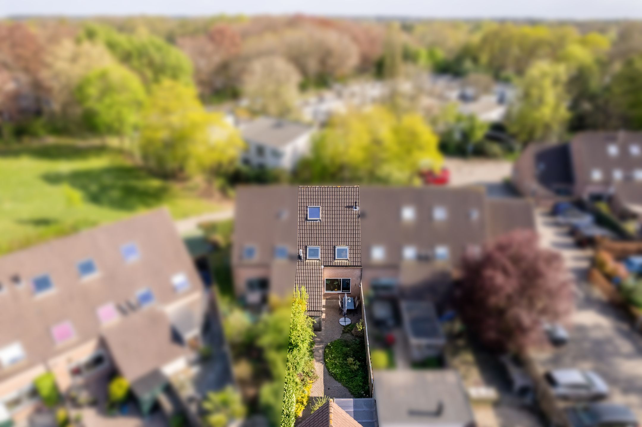 Foto 42 van Lange Haeg 123