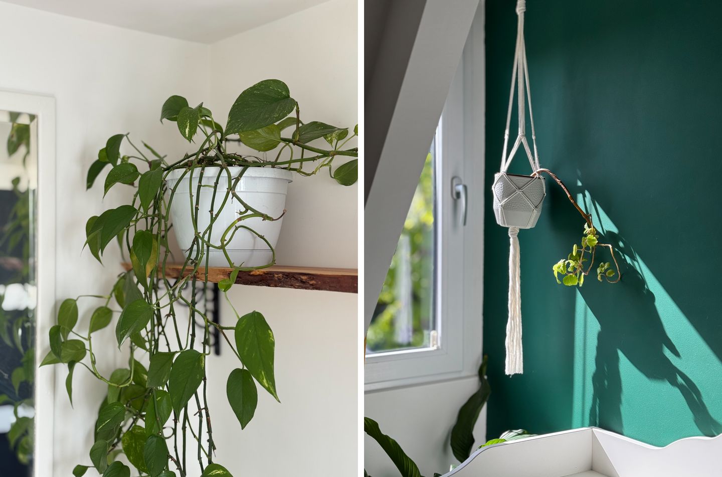 Foto 29 van Uiterweg 276