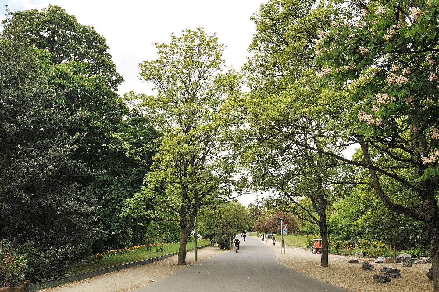 Photo 4 of Overtoom 484-2