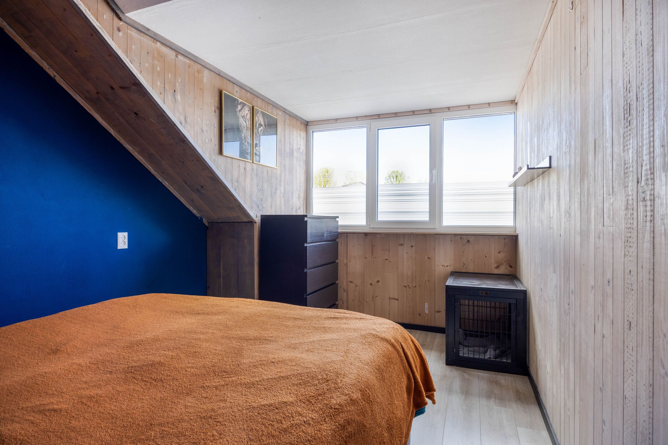 Foto 21 van Meerval 49