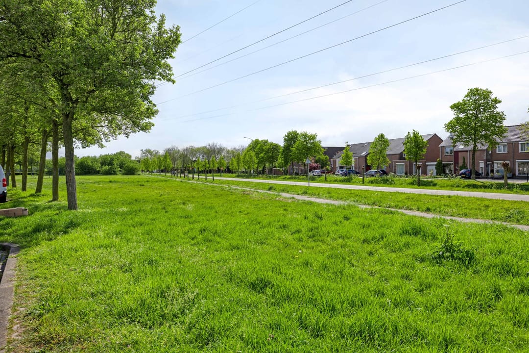 Foto 41 van Meerval 49