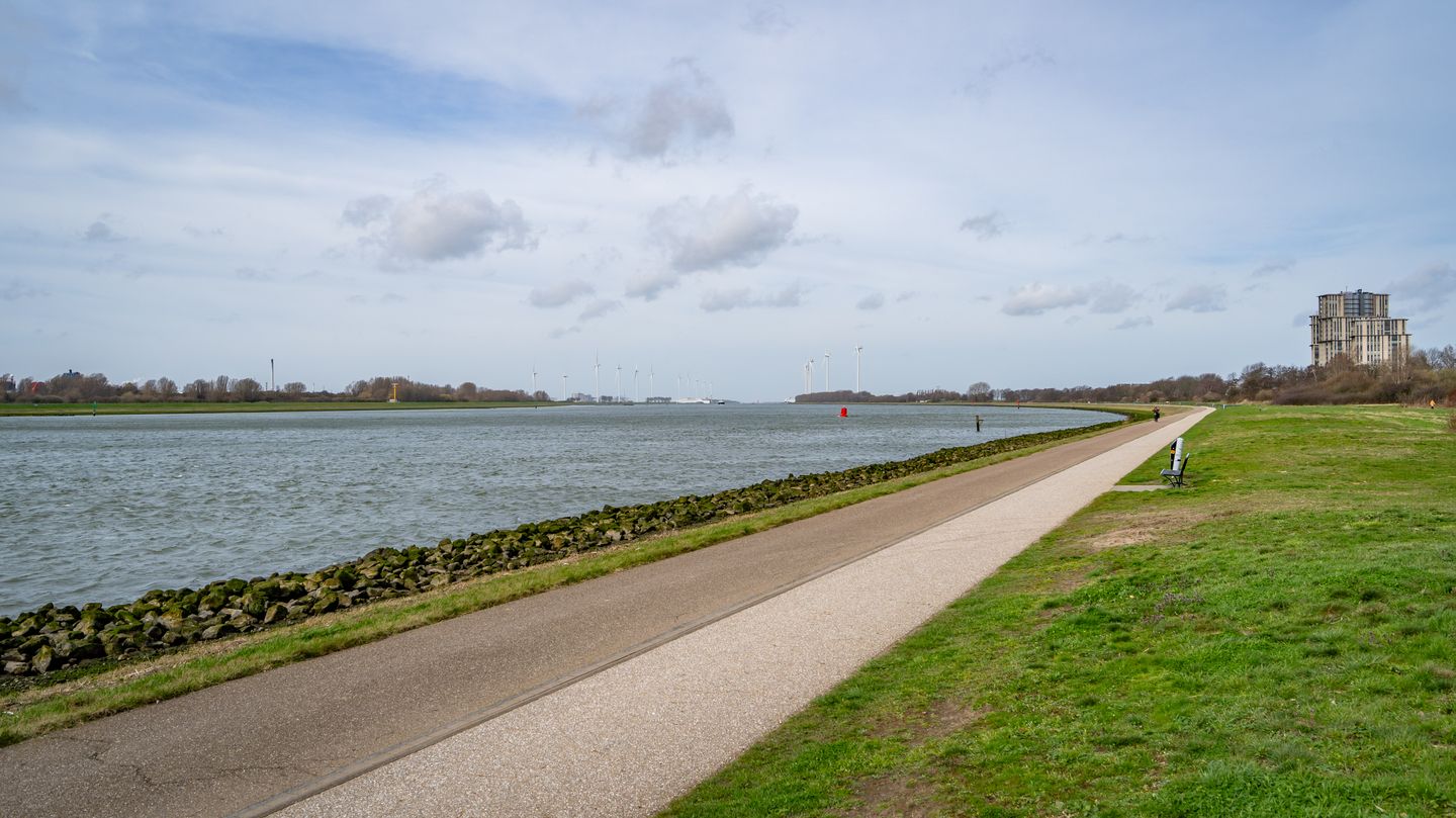 Foto 59 van Merellaan 83