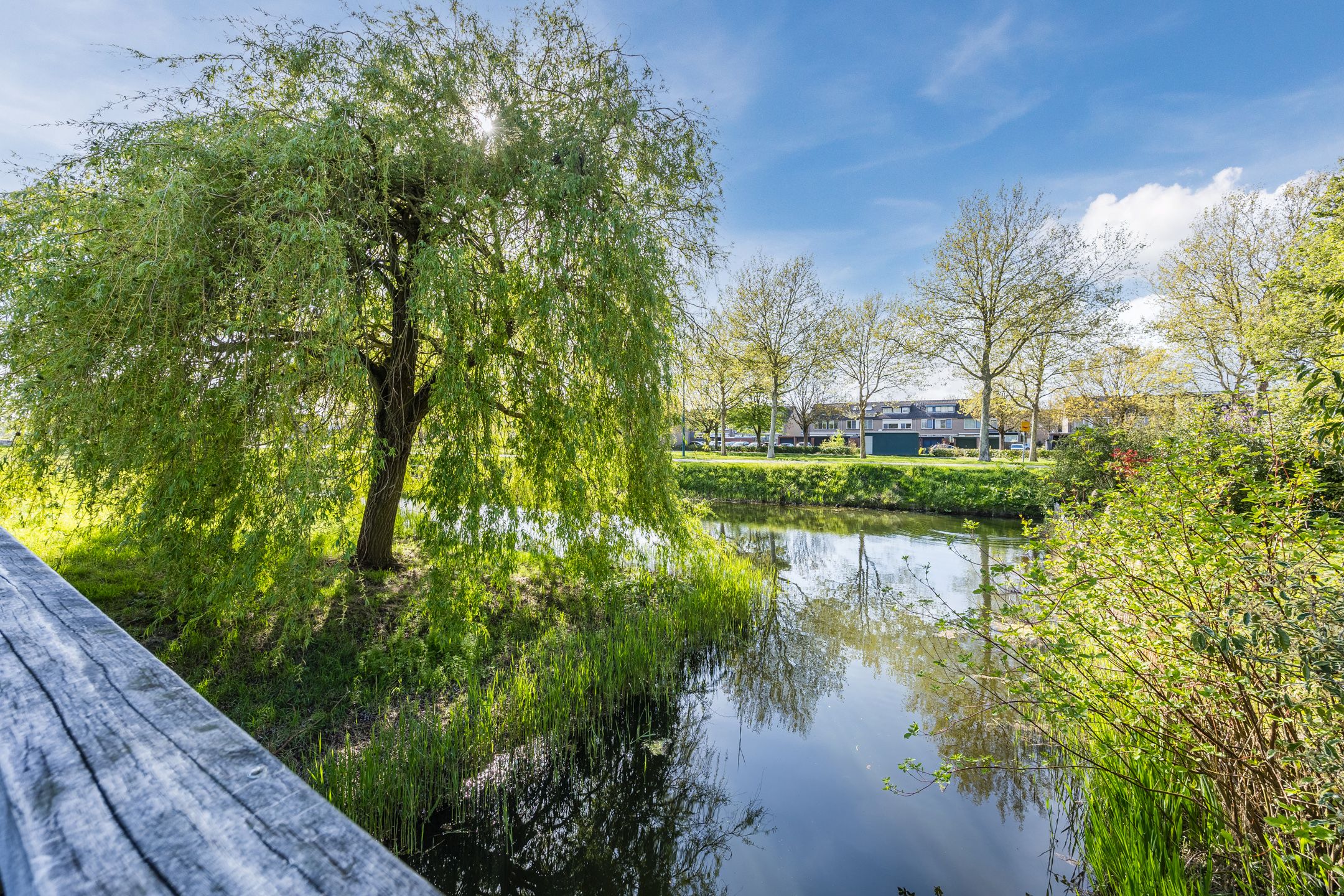 Foto 48 van Maartenskreek 5