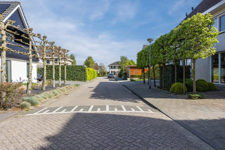 Foto 4 van Maartenskreek 5