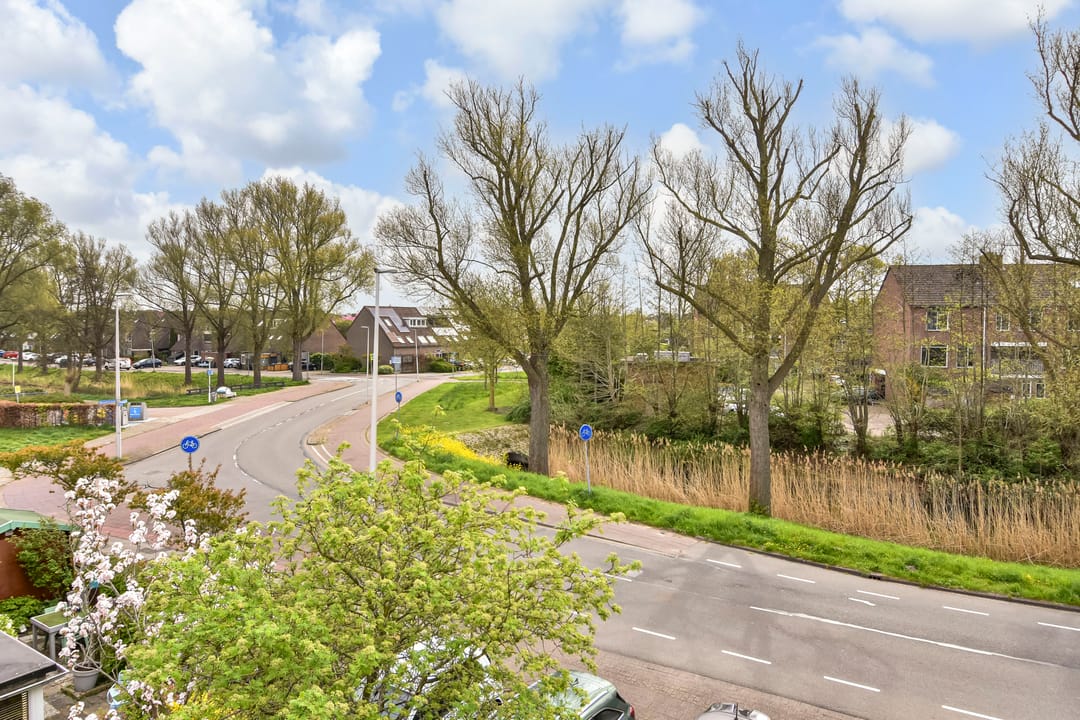 Foto 38 van Filmlaan 1