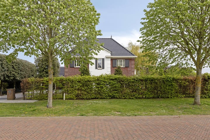 Foto 5 van Kaatje Mollaan 9