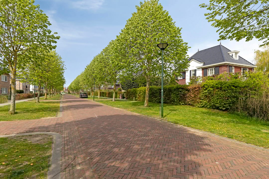 Foto 7 van Kaatje Mollaan 9