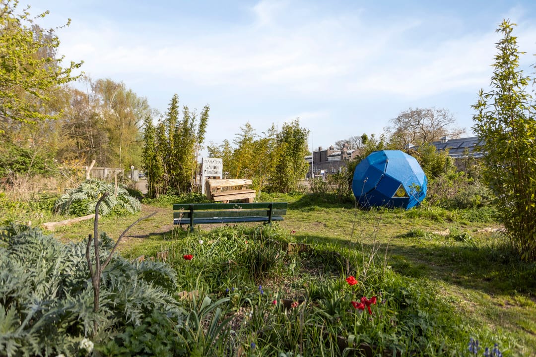 Foto 28 van Entrepotdok 30-A