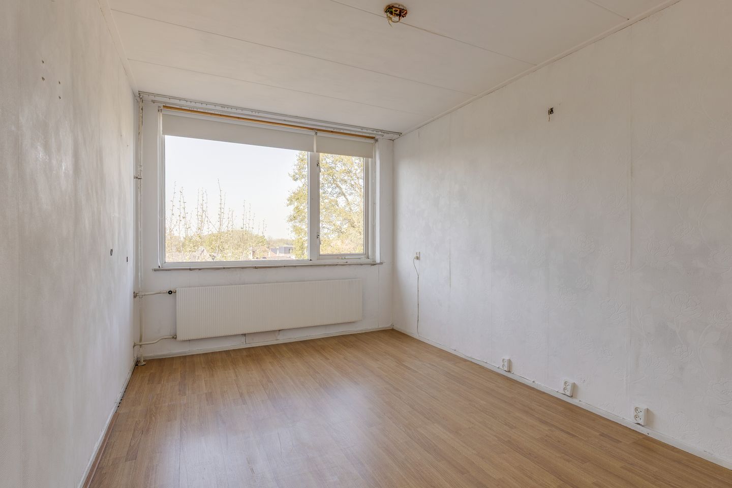 Foto 29 van Hoge Veld 7